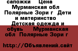 сапожки  › Цена ­ 200 - Мурманская обл., Полярные Зори г. Дети и материнство » Детская одежда и обувь   . Мурманская обл.,Полярные Зори г.
